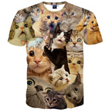 Mr.1991INC Cats T-shirt Men/Women 3d Print Meow Star Cat Hip Hop Cartoon TShirts Summer Tops Tees Fashion 3d shirts-PLAYERAS-FOREVER KRN