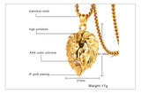 Vnox Punk Lion Head Pendant for Men Necklace Wild Tough Animal Shape Gold Color Stainless Steel Rocky Male Jewelry 24" Box Chain